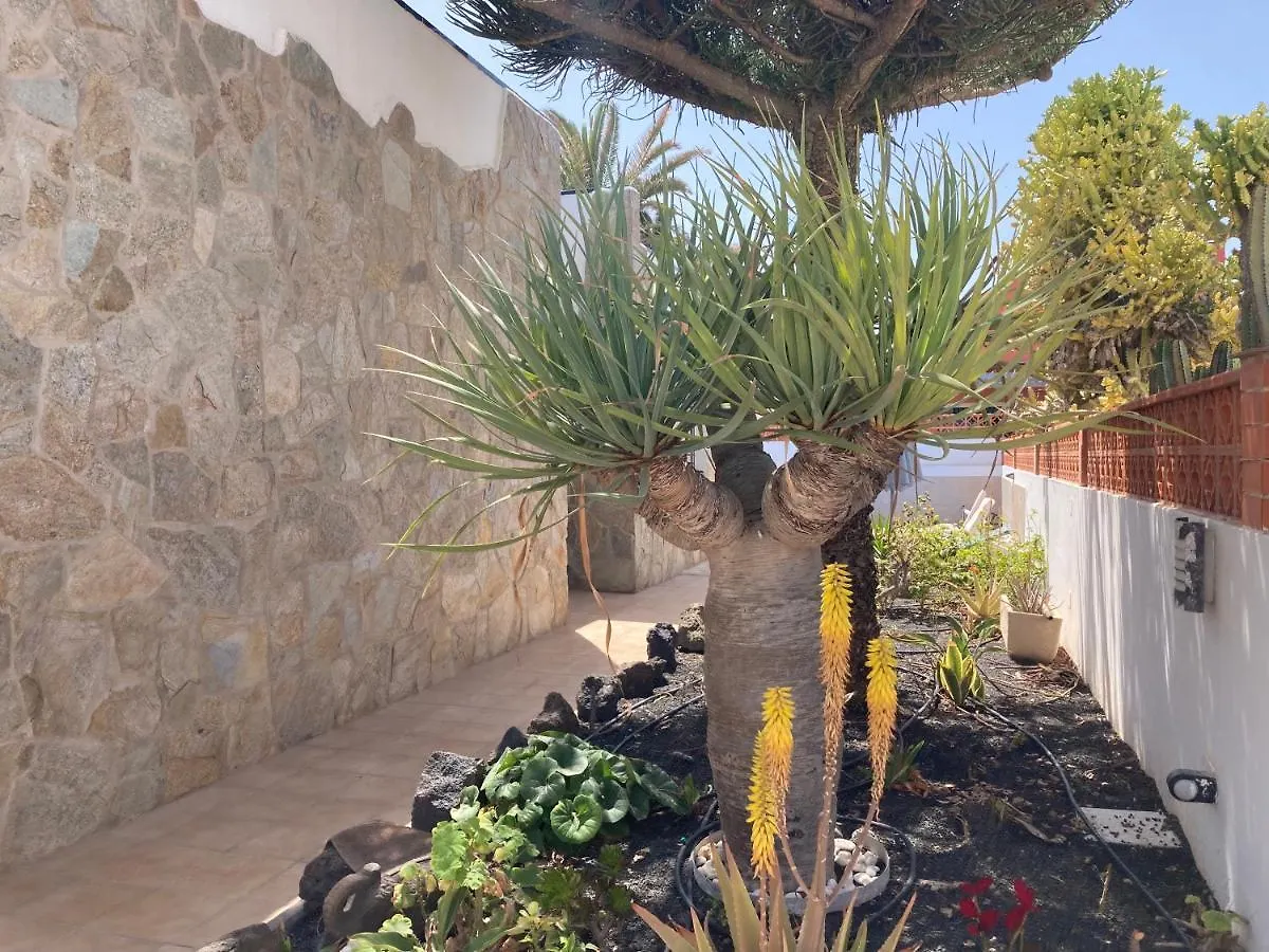 Villa Beach House With The Heated Pool Next To Rocky Point Corralejo Spain